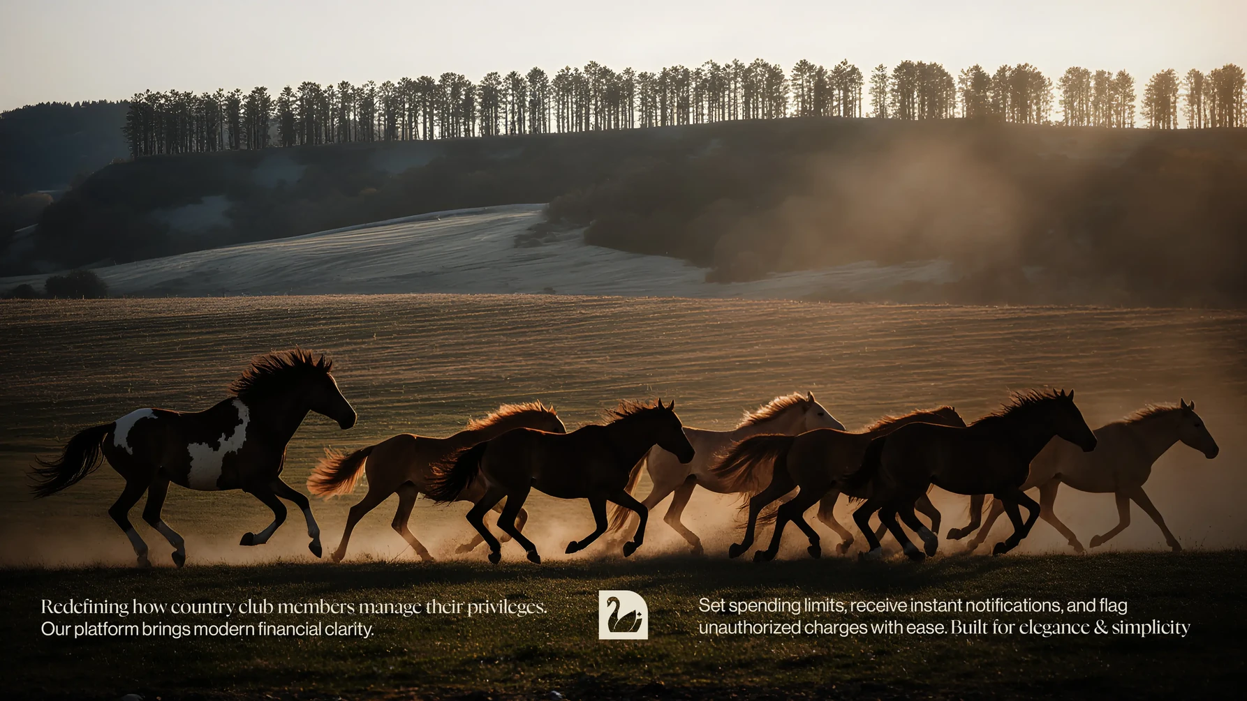 Horses running along a shoreline beside Vryfi Now brand messaging